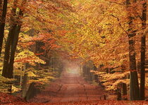 Autumn postcards | Landscapes Autumn postcards | Landscapes