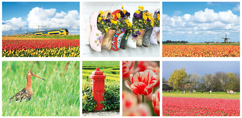 Typical Dutch postcards set (no. 65)