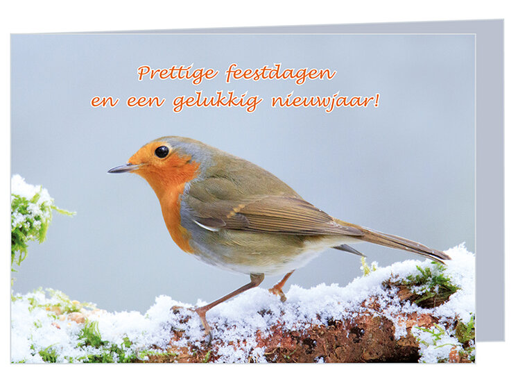 Cheap Christmas card robin + envelope (K001) Cheap Christmas card robin + envelope (K001)