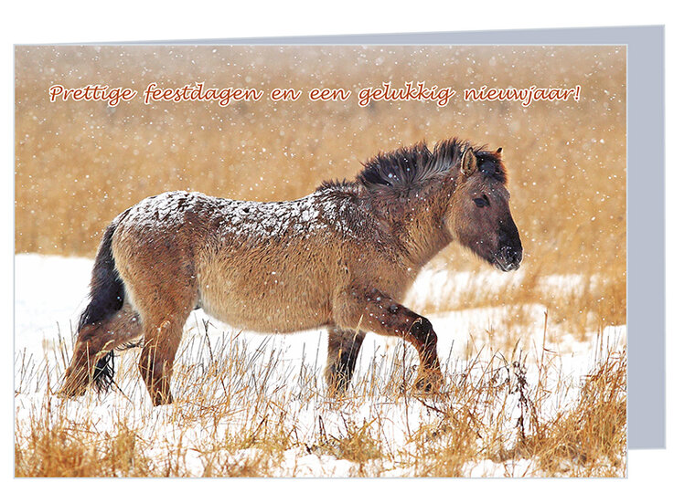 Cheap Christmas card konik horse + envelope (K003)