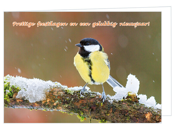 Great tit Christmas card - double bird card with envelope (K018)