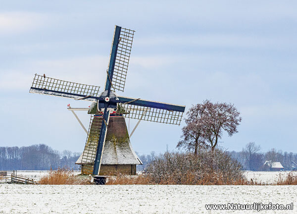 Broek mill in Broeksterwoude postcard (0822)