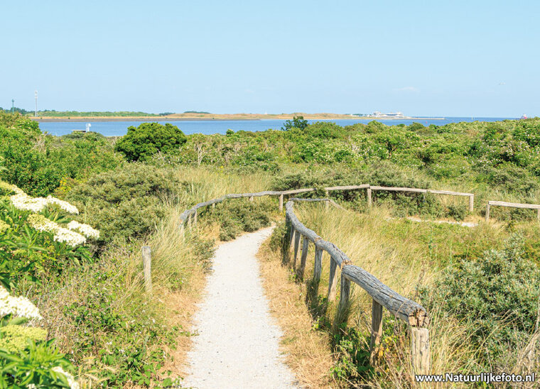 Horsmeertjes viewpoint on Texel postcard (0818) Horsmeertjes viewpoint on Texel postcard (0818)
