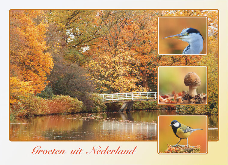 postcard groeten uit Nederland Autumn