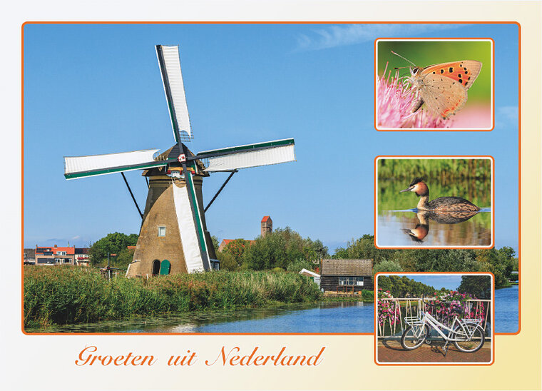 postcard groeten uit Nederland spring