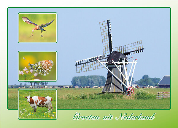 Dutch postcards set