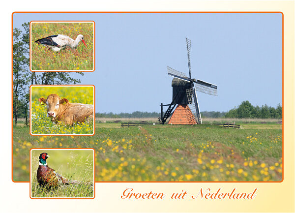 Dutch postcards set