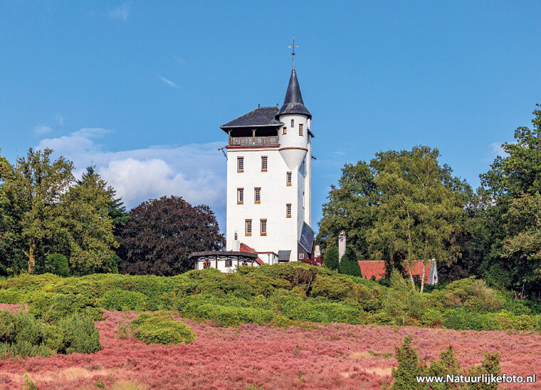 postcard Palthetoren (0883)