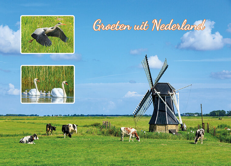 postcard groeten uit Nederland 041