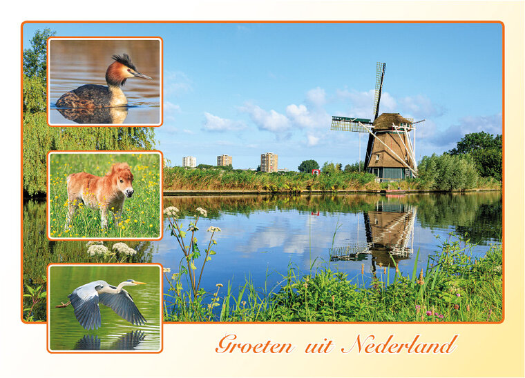 postcard groeten uit Nederland 038