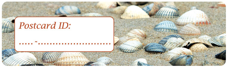 Postcrossing ID stickers | 6x shells (S015)