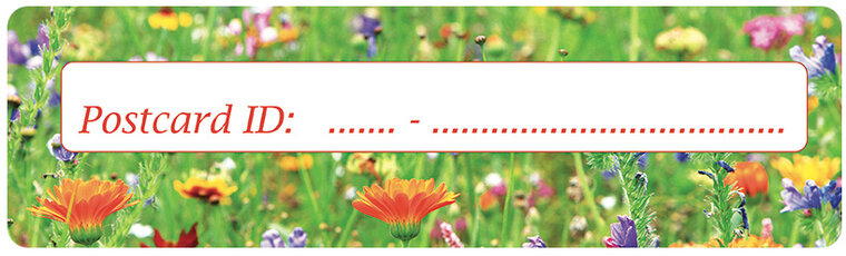Postcrossing ID stickers | 6x flowers (S011) Postcrossing ID stickers | 6x flowers (S011)