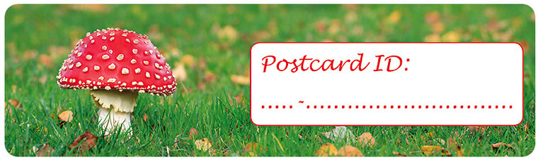 Postcrossing ID stickers | 6x mushroom (S006)