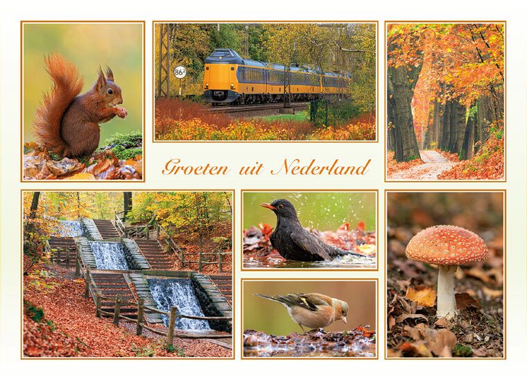 postcard groeten uit Nederland autumn