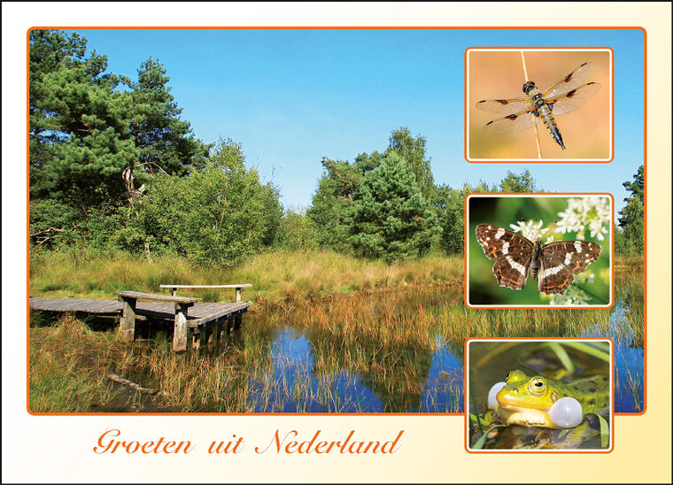 postcard groeten uit Nederland 025