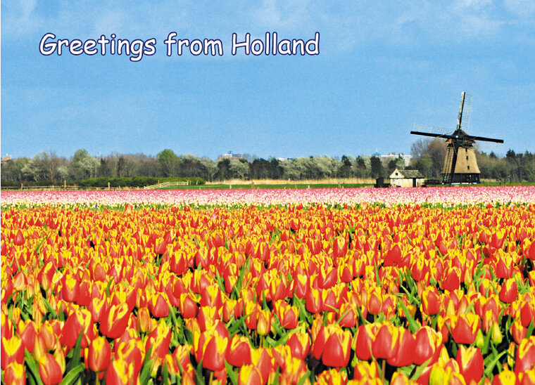 postcard greetings from Holland 006