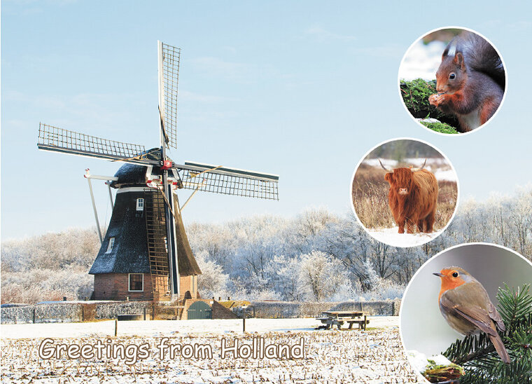 postcard greetings from Holland 007