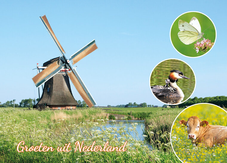 postcard groeten uit Nederland (AH0008)