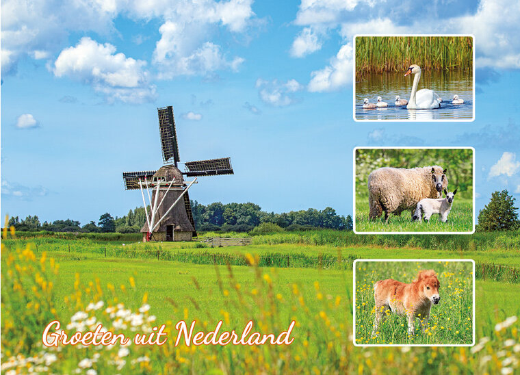 postcard groeten uit Nederland (AH0019)
