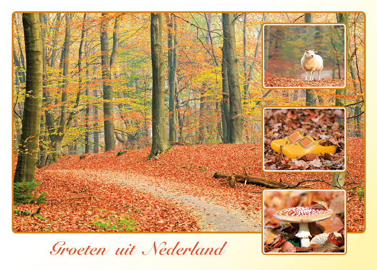 postcard groeten uit Nederland (AH0023)