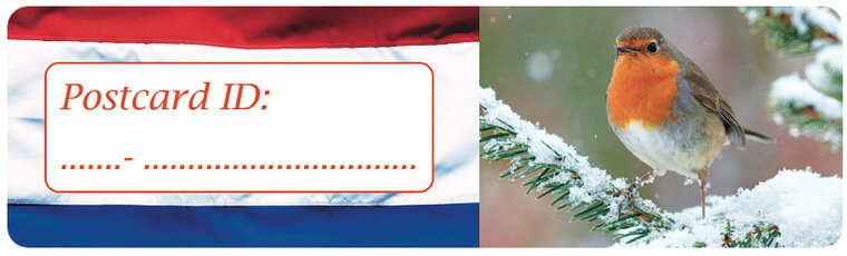 Postcrossing ID stickers | 6x Dutch Flag + robin (S021)