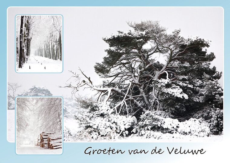 Postcard winter on the Veluwe (VE011)