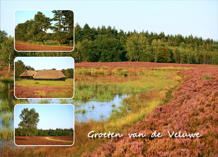 Postcard Veluwe (VE010)