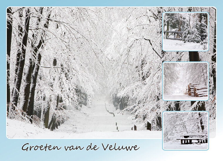 postcard Veluwe in winter (VE012)