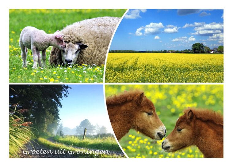 postcard greetings from Groningen