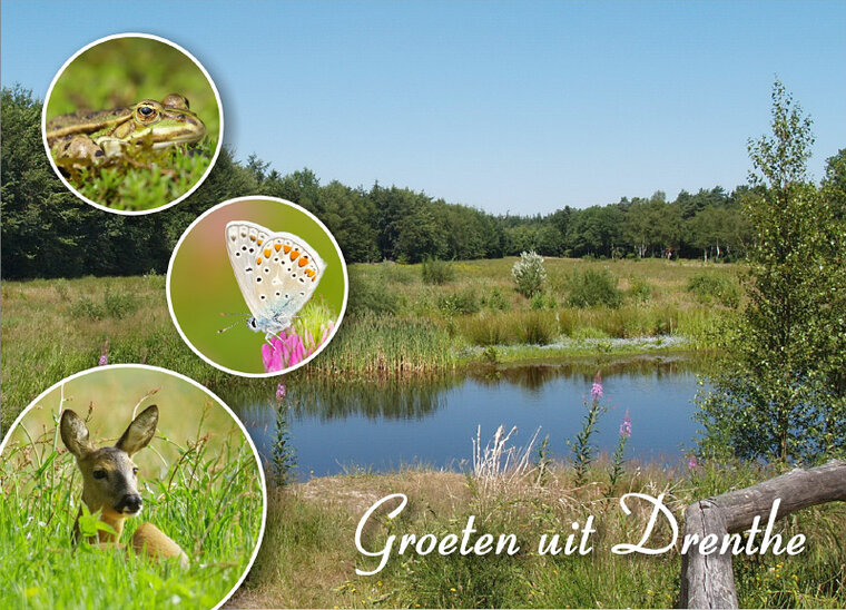 postcard greetings from Drenthe
