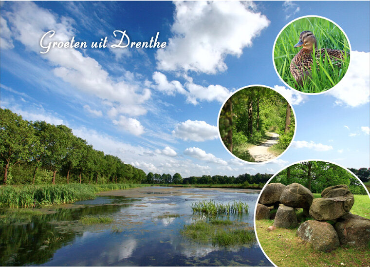 postcard greetings from Drenthe (DR005)