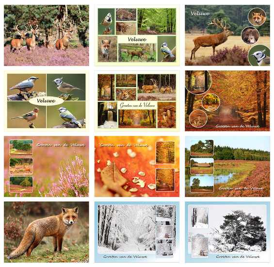 Veluwe postcards