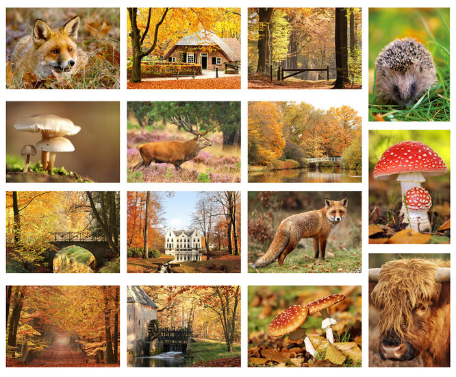Postcard set Autumn - 15 postcards with Autumn motif (no. 020)
