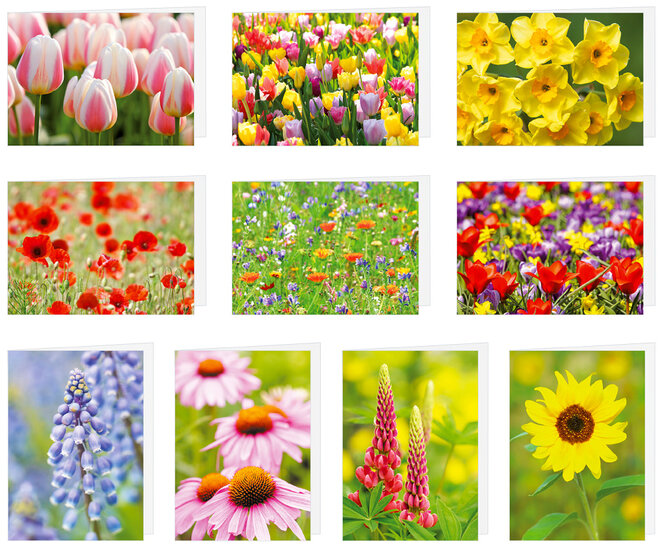 Greeting cards without text - set of 20 cards with envelope (no. 107)