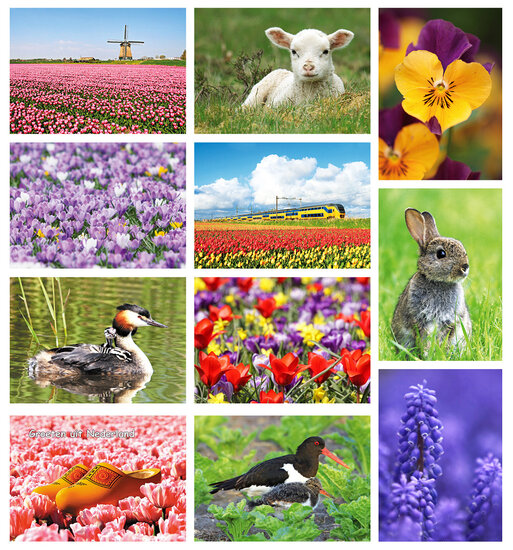 Postcard set spring - 11 postcards with spring motif (no. 082)