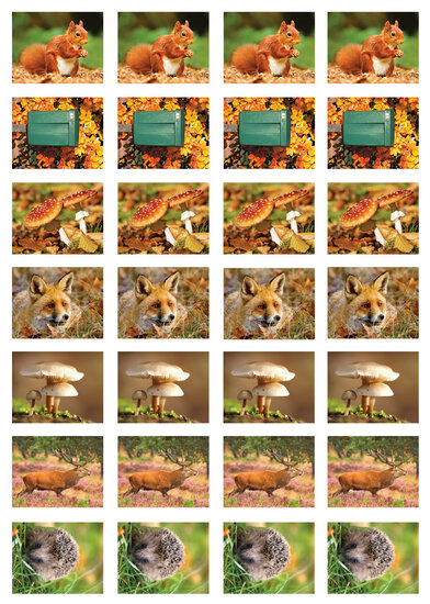 sticker sheet Autumn (SV003)
