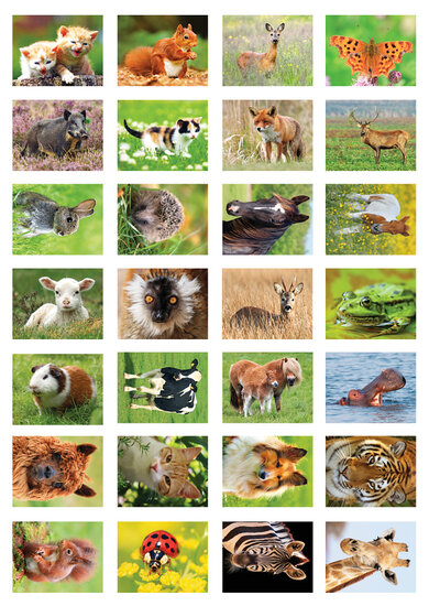 sticker sheet animals (SV004)