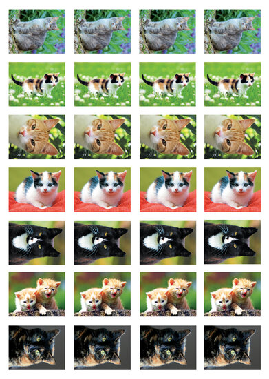 sticker sheet cats (SV008)