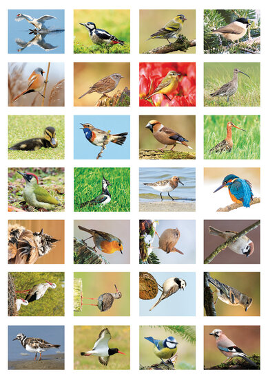 sticker sheet birds