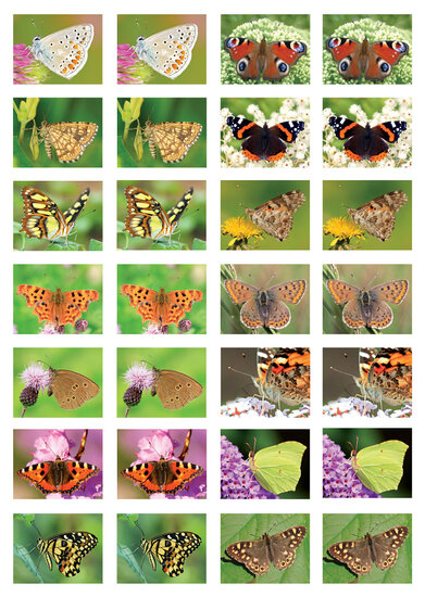 sticker sheet butterflies (SV010)
