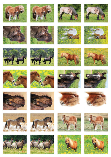 sticker sheet horses (SV015)