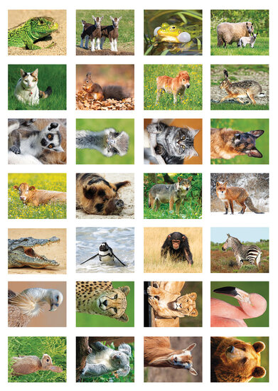 sticker sheet animals (SV016)