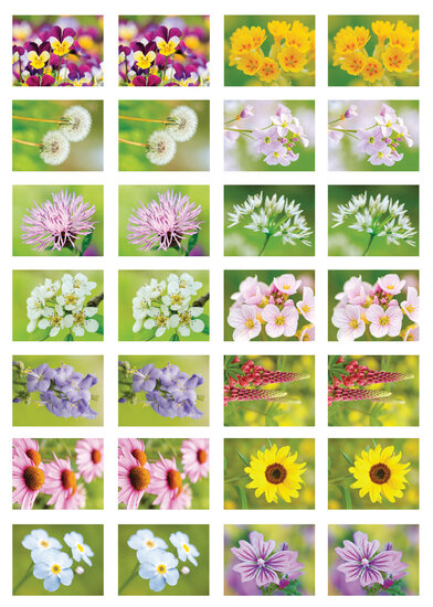 sticker sheet flowers (SV017)