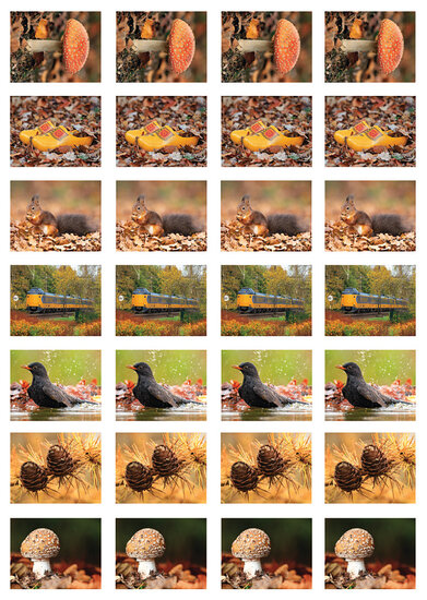 sticker sheet autumn