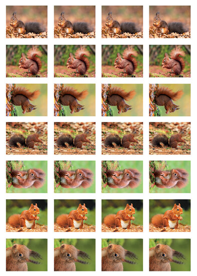 sticker sheet squirrels