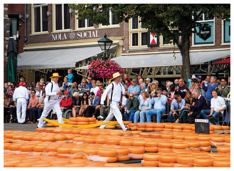postcard Cheese market in Alkmaar (C062) postcard Cheese market in Alkmaar (C062)