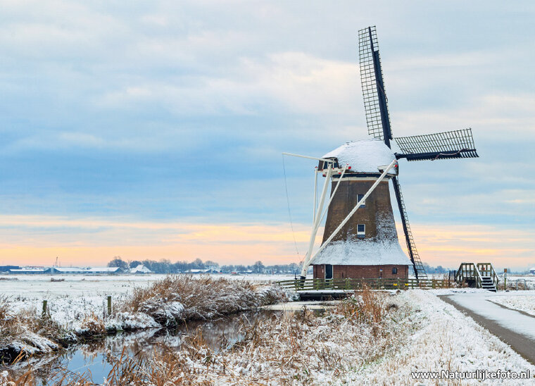 postcard Hempenserpolder mill