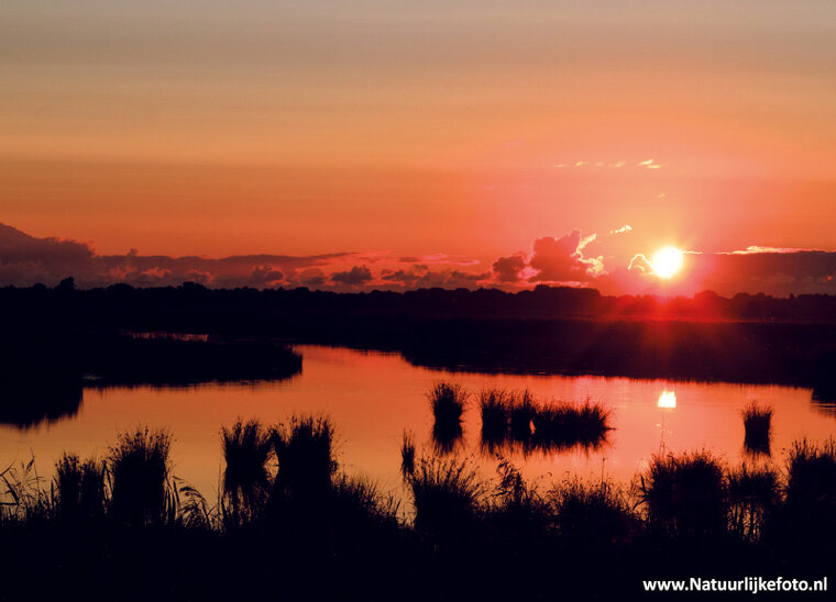 Sunset Leekstermeer postcard (0732)