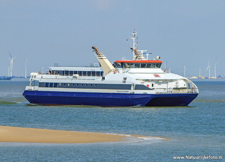 postcard ferry Prinses Maxima (0736)