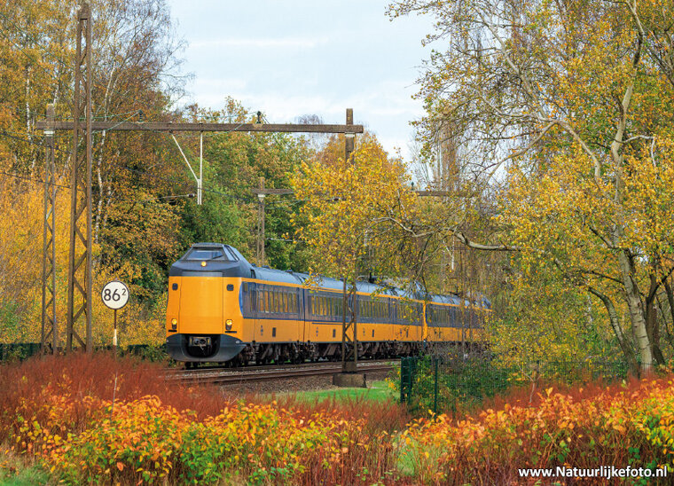postcard NS train in autumn (0741)